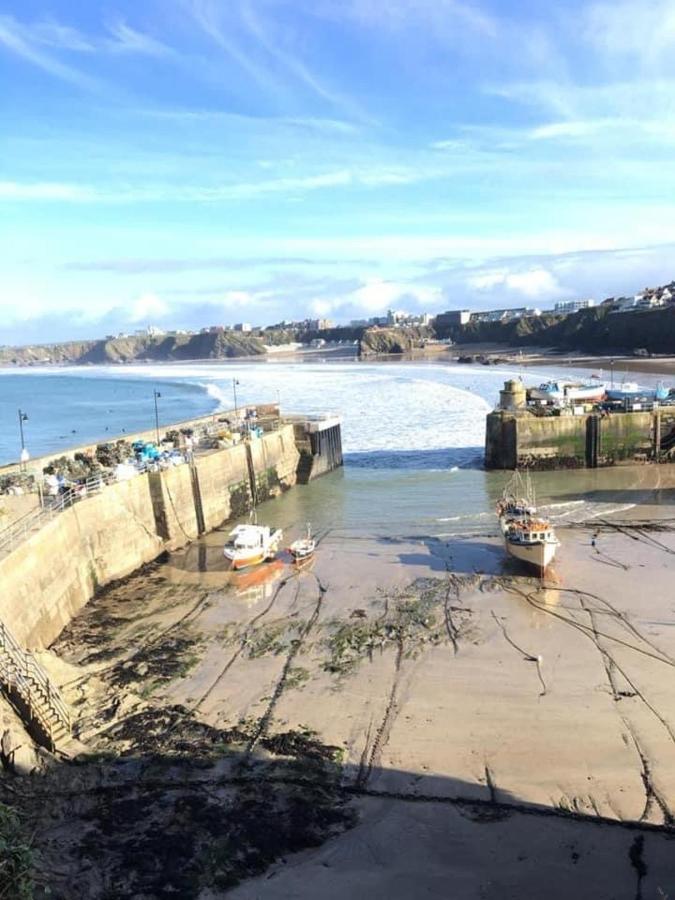 Alderberry Lodge New Quay Exterior foto